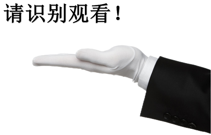 16983070918072416.png